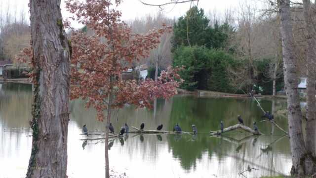 Damiatte, les plateaux