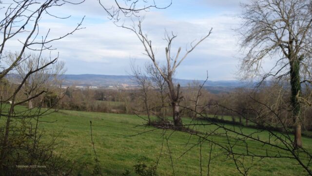 Labruguière : En Laure, Les Gaux