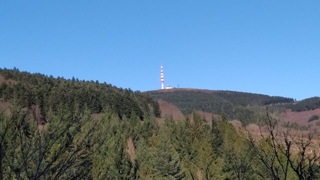 Pradelles Cabardès, bois de Nouret
