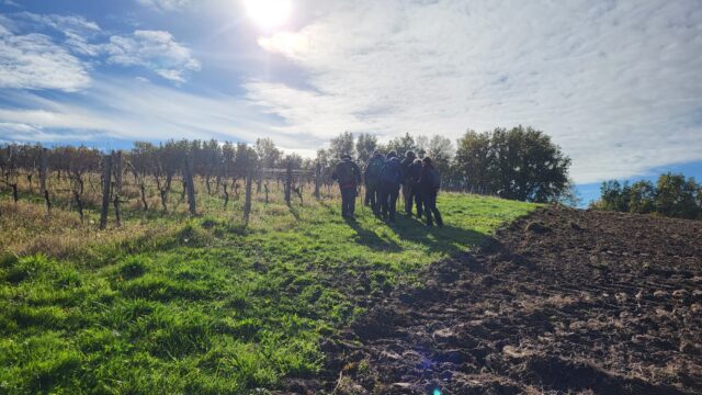 Cabanès – Rando oenologique