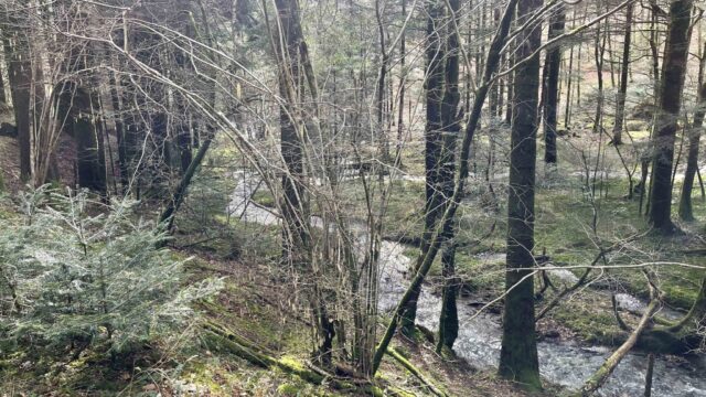 Font Bruno, stèle, Trou obscur