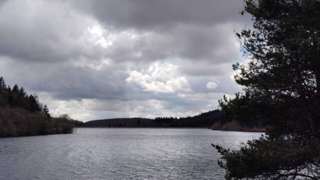 Lacombe, bois de Serre Haute