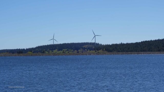 Laprade Basse, les tourbières