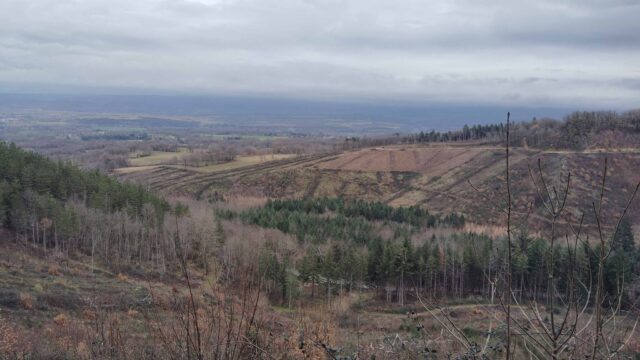 Les Gaux, Le Sindié