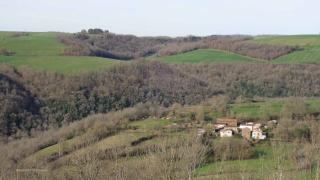 Montredon Labessonnié, chemin de Travanet