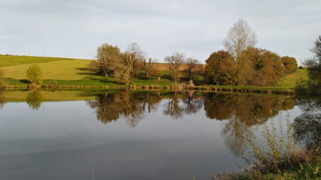 St Grégoire, château Labastide Vassals