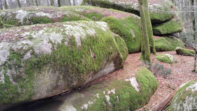 Saint-Salvy, Lézertou, Les Besses, Lascombes