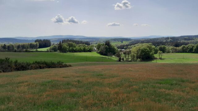 Anglès Rec de Biou Tertre de Cardonnel