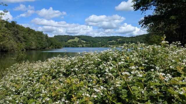 St Antonin de Lacalm : lac de La bancalié