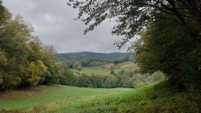 Brassac : Arcanic, moulin de Paradou