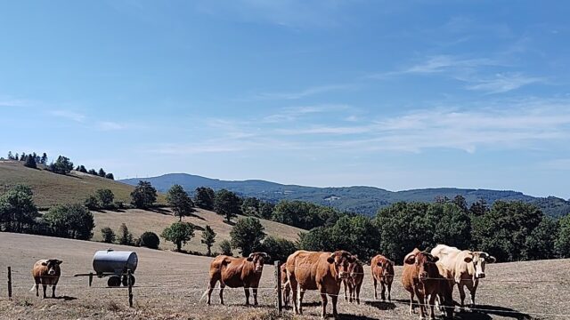 Roquerlan, Les Escaunelles